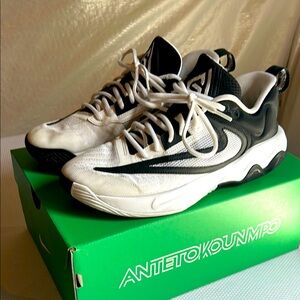 Nike Giannis Immortality 3 Black and White Basketball Shoes